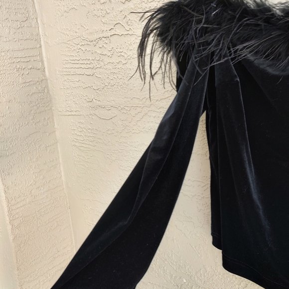 off the shoulder velvet feather top - Picture 3 of 6